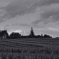 Summer clouds Photograph by Karine GADRE Summer clouds Photograph by Karine GADRE