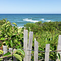 Summer Day at the Seashore by Michelle Constantine
