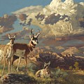 Summer Evening Painting by Greg Beecham Summer Evening Painting by Greg Beecham