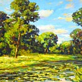 Summer landscape. by Irina Mask