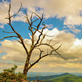 Summer Mountain Vibes Photograph by Go and Flow Photos Summer Mountain Vibes Photograph by Go and Flow Photos