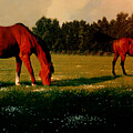 Summer Pasture Painting by Blue Sky Summer Pasture Painting by Blue Sky