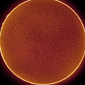 Sun in Hydrogen-alpha by Prabhu Astrophotography Sun in Hydrogen-alpha by Prabhu Astrophotography