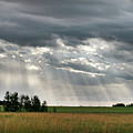 Sun rays over a field Photograph by Karen Rispin Sun rays over a field Photograph by Karen Rispin