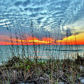 Sun Setting Photograph by Alison Belsan Horton Sun Setting Photograph by Alison Belsan Horton
