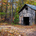 Sun Shines On A Forgotten Barn by Dave Sandt