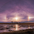 Sundogs Photograph by Darcy Dietrich Sundogs Photograph by Darcy Dietrich