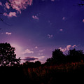Sundown in the Field Photograph by Christopher Reed Sundown in the Field Photograph by Christopher Reed