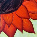 Sunflower 3 by Lisa White