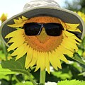 Sunflower And Shades by Lens Art Photography By Larry Trager