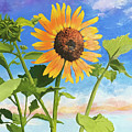 Sunflower OBX Painting by Anne Marie Brown Sunflower OBX Painting by Anne Marie Brown