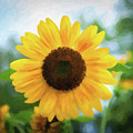 Sunflower_6273_WC Watercolor Painting by Rocco Leone Sunflower_6273_WC Watercolor Painting by Rocco Leone
