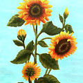 Sunflowers on Blue Painting by Sarah Irland Sunflowers on Blue Painting by Sarah Irland