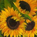 Sunflowers by Tami Booher Sunflowers by Tami Booher