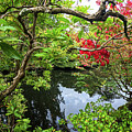 Sunken Garden Scenery 1 - Butchart Gardens - BC - Canada by Bruce Friedman