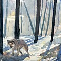 Sunlight and Shadows  by Glenn Marshall