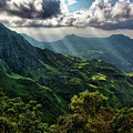 Sunlight on the Simien Mountains Photograph by Matt Cohen Sunlight on the Simien Mountains Photograph by Matt Cohen
