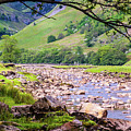 Sunlit Beck In Swaledale by Les Hutton