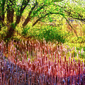 Sunny morning in the park Photograph by Tatiana Travelways Sunny morning in the park Photograph by Tatiana Travelways
