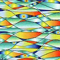 Sunrise Fish Eyes Digital Art by Sand And Chi Sunrise Fish Eyes Digital Art by Sand And Chi