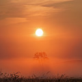 Sunrise in Hawk Hollow by Adam Romanowicz
