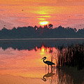 Sunrise on Lake Smart . . . Painting Photograph by Robert Carter Sunrise on Lake Smart . . . Painting Photograph by Robert Carter
