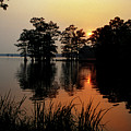 Sunrise on Reelfoot Lake by James C Richardson Sunrise on Reelfoot Lake by James C Richardson