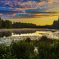 Sunrise on Roberts Branch Photograph by Louis Dallara Sunrise on Roberts Branch Photograph by Louis Dallara