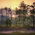 Sunrise Over Florida Everglades by Rebecca Herranen