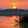 Sunrise Over Lake Smart Photograph by Robert Carter Sunrise Over Lake Smart Photograph by Robert Carter
