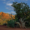 Sunset at Lover's Knoll by Al Judge
