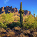 Sunset at Superstition Mountains and Saguaro Cacti, Lost Dutchman State Park by Miroslav Liska