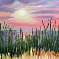 Sunset At The Curve by Lisa White