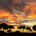Sunset Beyond Kohanaiki Photograph by Denise Bird