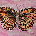 Sunset Butterfly Painting by K P Sunset Butterfly Painting by K P