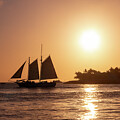 Sunset celebration in Key West, Florida by Delphimages Photo Creations