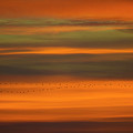 Sunset Cranes 1 by Stefan Knauer