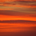 Sunset Cranes 2 by Stefan Knauer