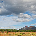 Sunset Crater from Bonito Park Photograph by Jeff Goulden Sunset Crater from Bonito Park Photograph by Jeff Goulden