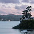 Sunset from San Quentin Point California by Cindy Shebley
