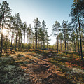 Sunset in the Finnish wilderness Photograph by Vaclav Sonnek Sunset in the Finnish wilderness Photograph by Vaclav Sonnek