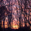 Sunset by Minnie Gallman