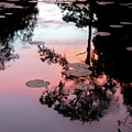 Sunset on a Florida pond Photograph by Karen Rispin Sunset on a Florida pond Photograph by Karen Rispin