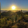 Sunset Over Saguaro-Covered Hills at King Canyon Trailhead, Arizona by Miroslav Liska