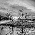 Sunset Salty Marsh at Jekyll Island Black and White Photograph by Debra and Dave Vanderlaan Sunset Salty Marsh at Jekyll Island Black and White Photograph by Debra and Dave Vanderlaan
