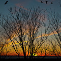 Sunset Through The Trees Photograph by Cathy Kovarik Sunset Through The Trees Photograph by Cathy Kovarik