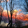 Sunset Through the Woods Photograph by Ally White Sunset Through the Woods Photograph by Ally White