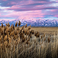 Sunset View at Bear River Bird Refuge by John Wilbur
