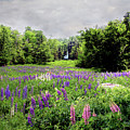 Surely God Abides Here by Wayne King