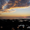 Surfing At Sunset by Charles C Vice